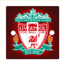 Load image into Gallery viewer, Light Switch Cover