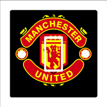 Load image into Gallery viewer, Light Switch Cover