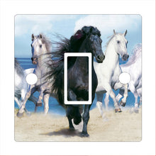 Load image into Gallery viewer, Light Switch Cover