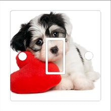 Load image into Gallery viewer, Light Switch Cover